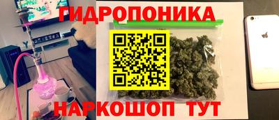 Альфа ПВП Пенза